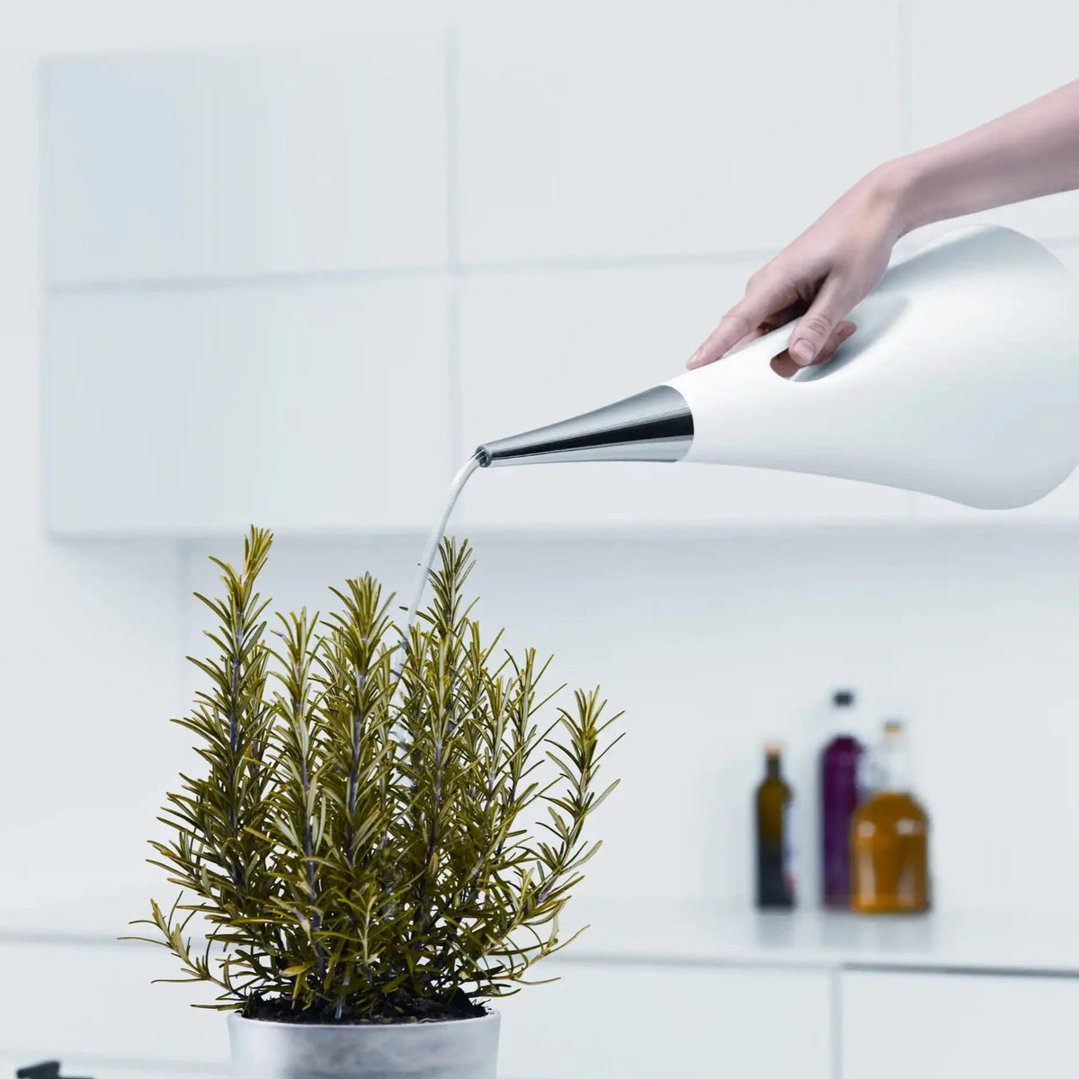 Eva Solo Plant Watering Can